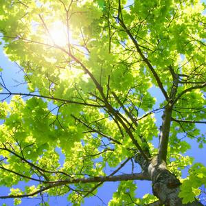 私房福利写真大尺度私房照网站
