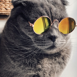 私房福利写真大尺度私房照网站
