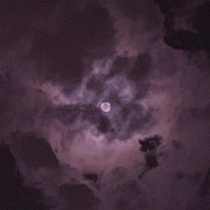 私房福利写真大尺度私房照网站
